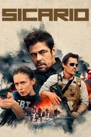 Tierra de nadie: Sicario