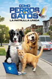 Como perros y gatos 3