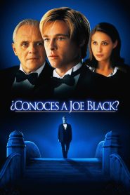 ¿Conoces a Joe Black?