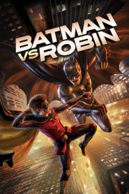 Batman vs Robin