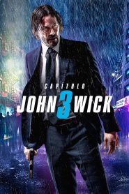 John Wick: Capítulo 3 – Parabellum