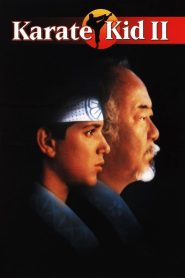 Karate Kid 2