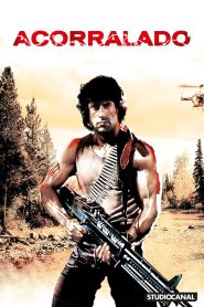 Rambo: Acorralado