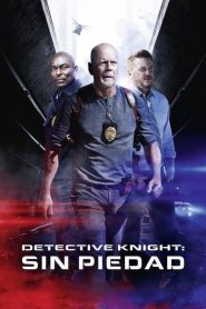 Detective Knight: Rogue