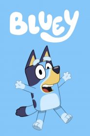 Bluey