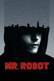 Mr. Robot