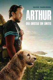 Arthur: Una amistad sin límites