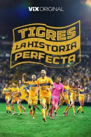 Tigres: La historia perfecta